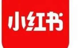 抖音电商,自媒体创业者的新机遇 抖音电商,自媒体创业者的新机遇